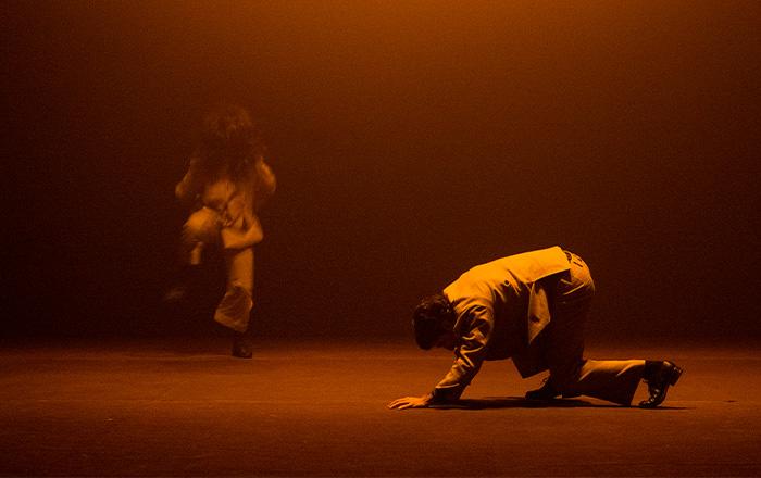 "Sahara" di Claudia Castellucci