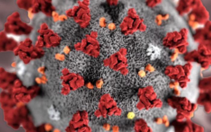 Coronavirus, le indicazioni per la comunità Sapienza
